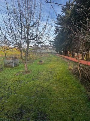 Garten Wiese.JPG