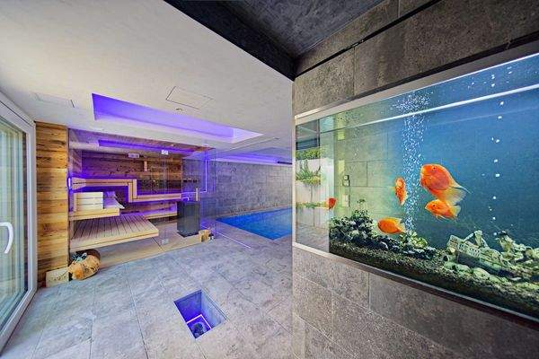 integriertes Aquarium