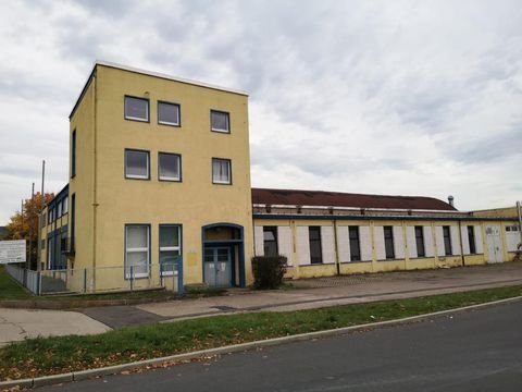 Stadtilm Halle, Stadtilm Hallenfläche