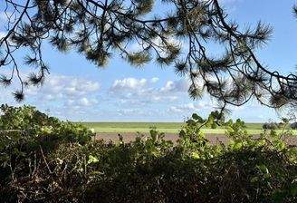 Weitsicht zum Nordseedeich