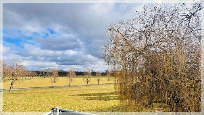Blick vom Balkon in den Wiesengrund