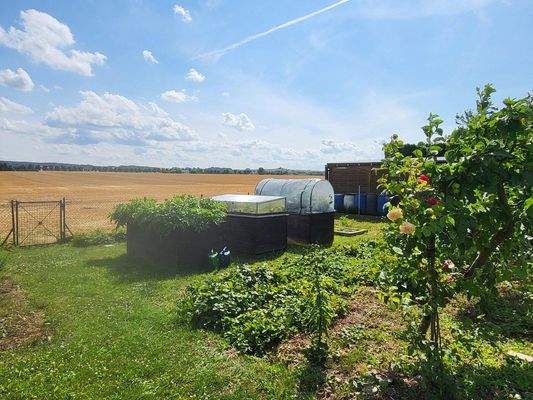 Garten, Blick auf´s Feld