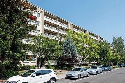 Dresden Wohnungen, Dresden Wohnung mieten