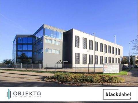 Neu-Ulm Halle, Neu-Ulm Hallenfläche