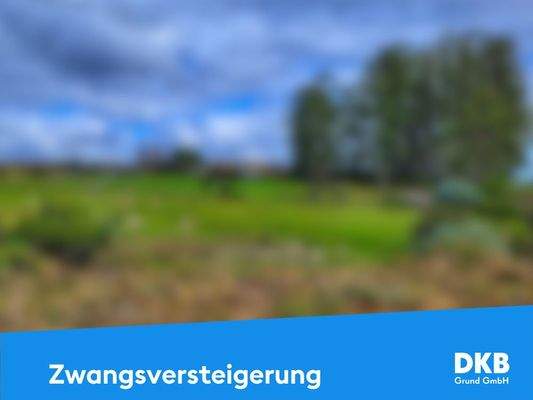 Zwangsversteigerung Grundstück.jpg