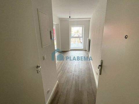 Schwerin Wohnungen, Schwerin Wohnung mieten