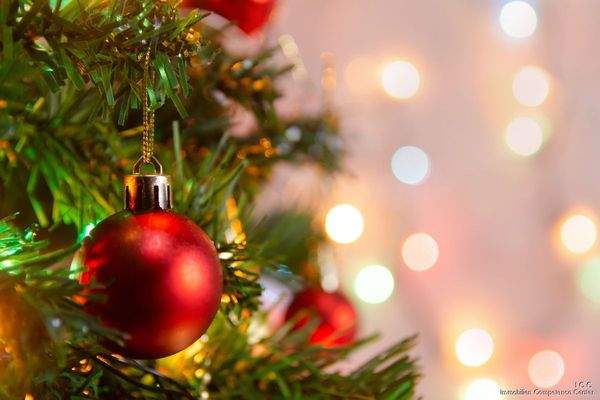 Das ICC – das Immobilien Competence Center - Weihnachtszauber liegt in der Luft - freu dich auf dein "Kripperl" 