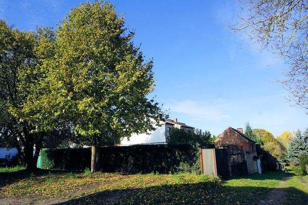 Rechte Giebelseite (6).jpg