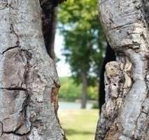 Direkt am Grafenberger Wald