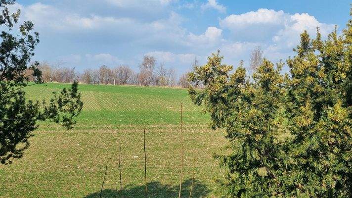 Blick aufs Feld Rückseite Gebäude