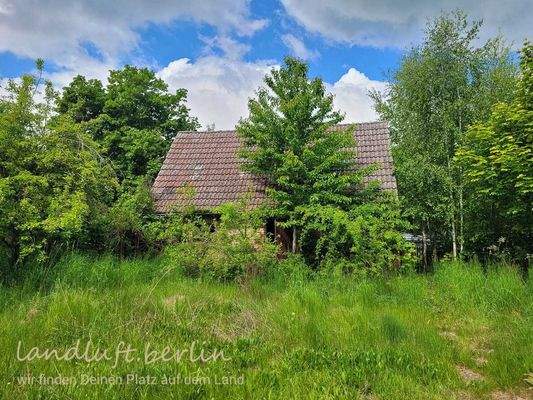 Stallgebäude an der Straße.jpg