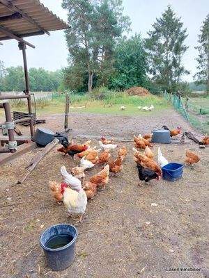 andere Möglichkeiten gibt es auch