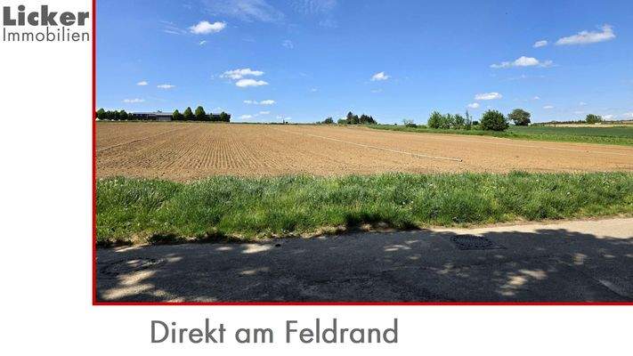 Direkt am Feldrand Richtung Obertürkheim-Mettingen