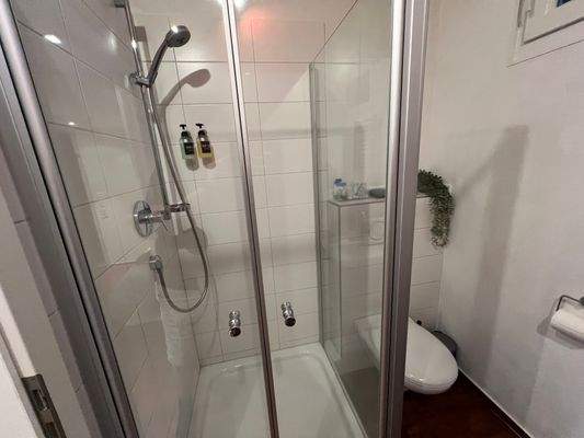 Untergeschoss Bad mit Duschvorrichtung 