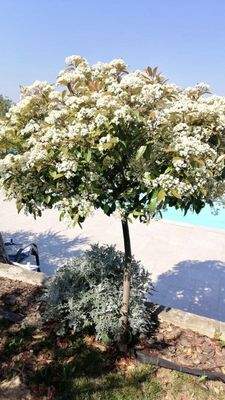 8a980c42-46d1-42da-a1a9-7a5562a24912