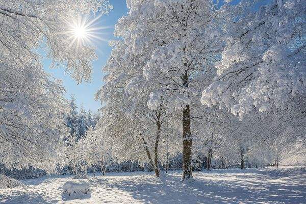 Traumhaftes Grundstück