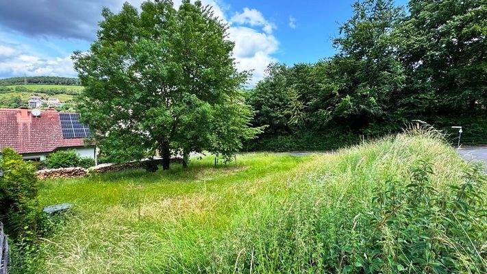 Ansicht Straßenseite