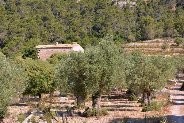 Kensington Mallorca North