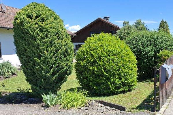 Durch Büsche und Sträucher von der Straße abgeschirmt, bietet der Garten Ruhe und Privatsphäre