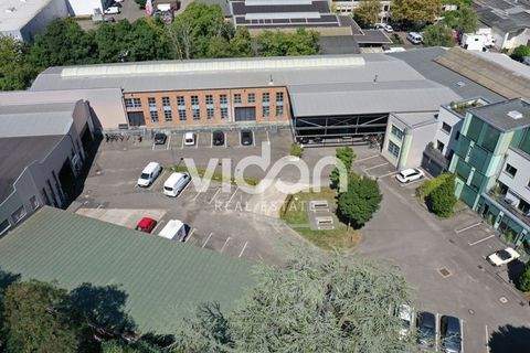 Köln Halle, Köln Hallenfläche