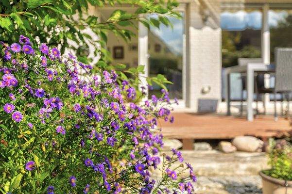 Ihr Platz im Grünen