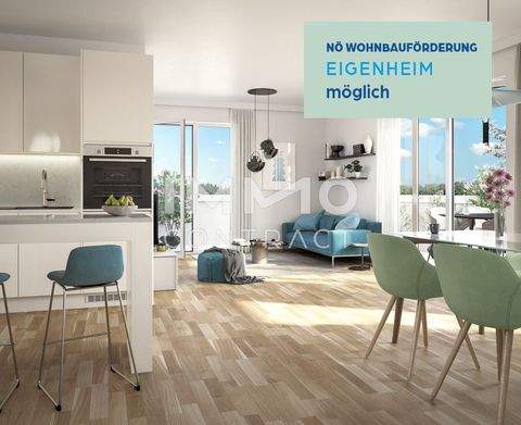 Ober-Grafendorf Wohnungen, Ober-Grafendorf Wohnung kaufen