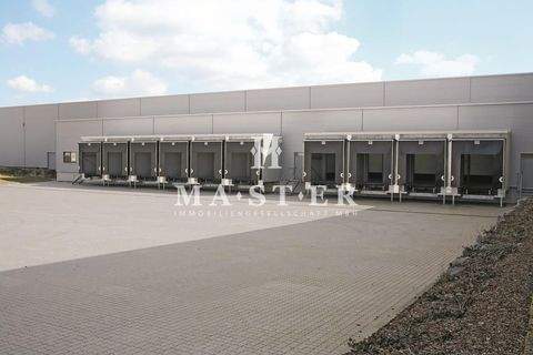 Duisburg Halle, Duisburg Hallenfläche