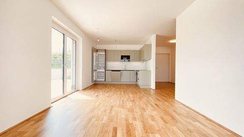 Krems an der Donau Wohnungen, Krems an der Donau Wohnung mieten