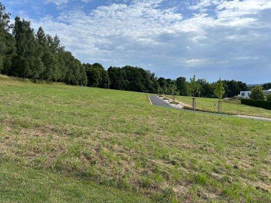 WhatsApp Image 2025-07-10 at 09.23.31