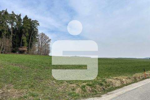 Gangkofen Bauernhöfe, Landwirtschaft, Gangkofen Forstwirtschaft