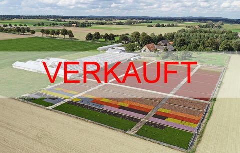 Bedburg-Hau Bauernhöfe, Landwirtschaft, Bedburg-Hau Forstwirtschaft
