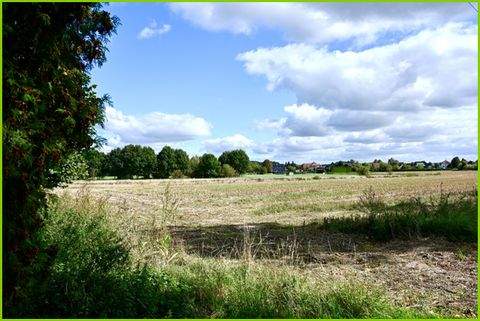 Welver Bauernhöfe, Landwirtschaft, Welver Forstwirtschaft