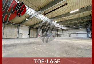 INFOS UNTER: 06171-586000