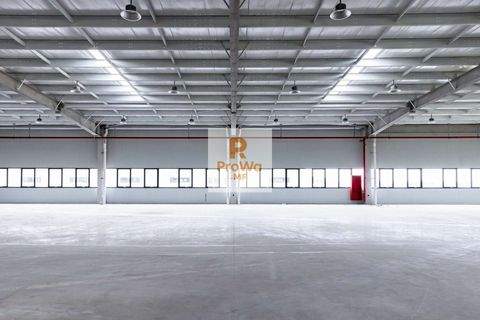 Stuttgart Halle, Stuttgart Hallenfläche