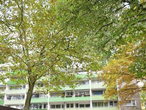 Sankt Augustin / Niederpleis Wohnungen, Sankt Augustin / Niederpleis Wohnung kaufen