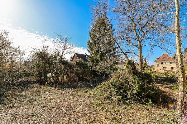 Grundstücksansicht Blickwinkel D