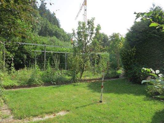 Kleiner Gemüsegarten