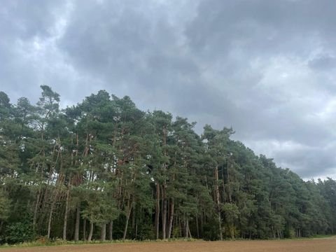 Abensberg Bauernhöfe, Landwirtschaft, Abensberg Forstwirtschaft