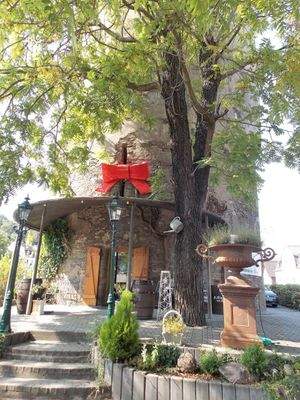 Ein ganz besonderes Objekt am Rhein -Boppard-