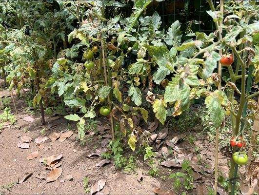 WhatsApp Image 2025-05-01 at 12.22.01 (2).jpeg