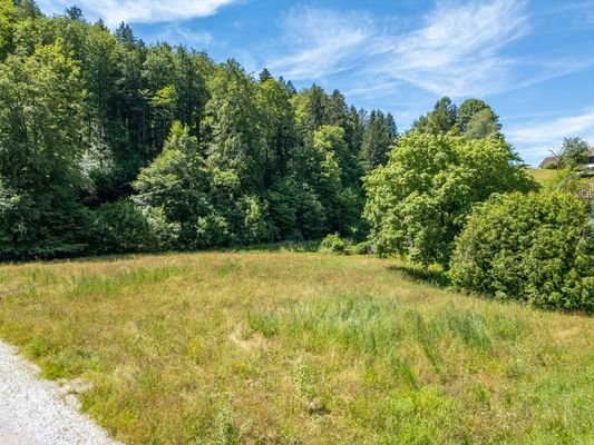 Naturlage Grünau im Almtal