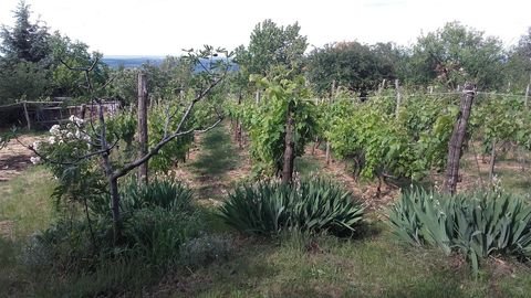 Alzenau , Unterfr Grundstücke, Alzenau , Unterfr Grundstück kaufen