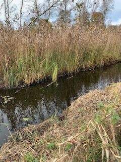 Neuruppin Grundstücke, Neuruppin Grundstück kaufen