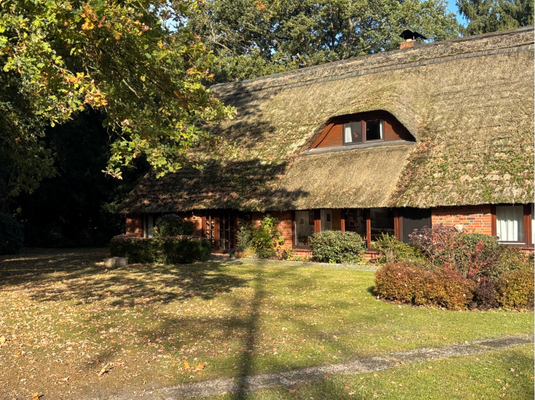 Südseite des Hauses und Garten.png