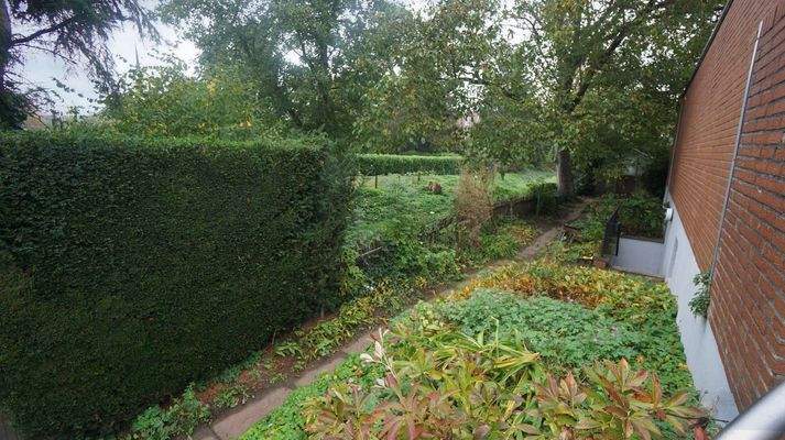 die Grünfläche seitlich vom Haus