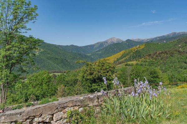 92_Mas Taillet 0092.jpeg