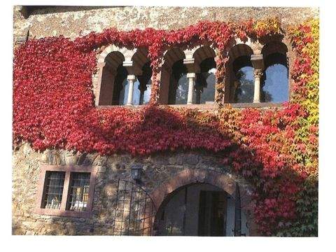 Oestrich-Winkel Häuser, Oestrich-Winkel Haus kaufen