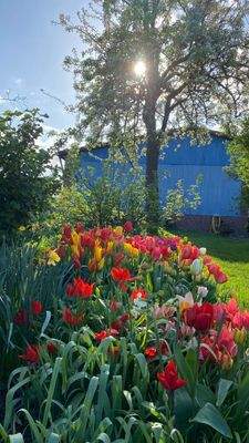 Impressionen Sommer25 (9).JPG