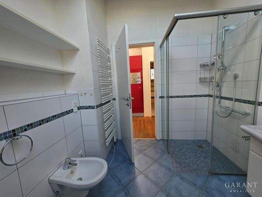 Badezimmer mit Dusche Ansicht 2