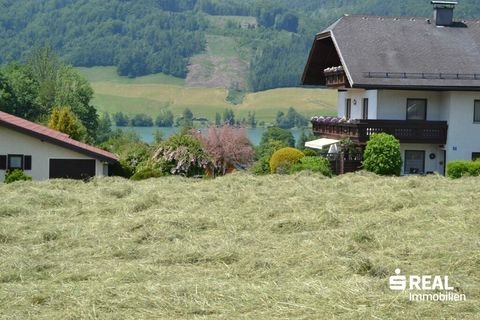 Zell am Moos Grundstücke, Zell am Moos Grundstück kaufen